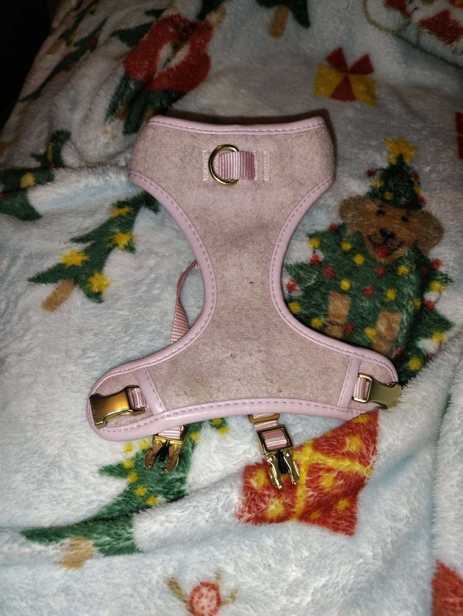 dog harness