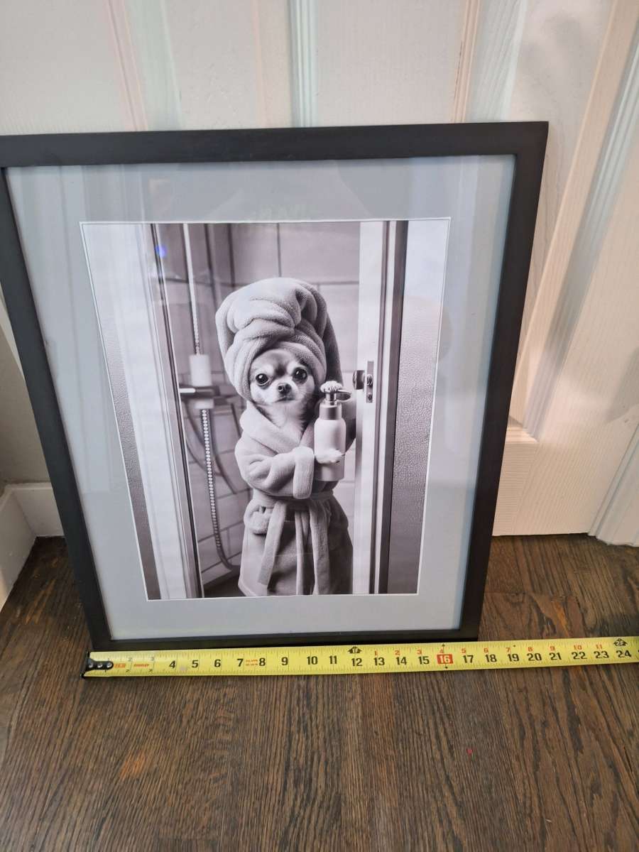 Framed chihuahua photo