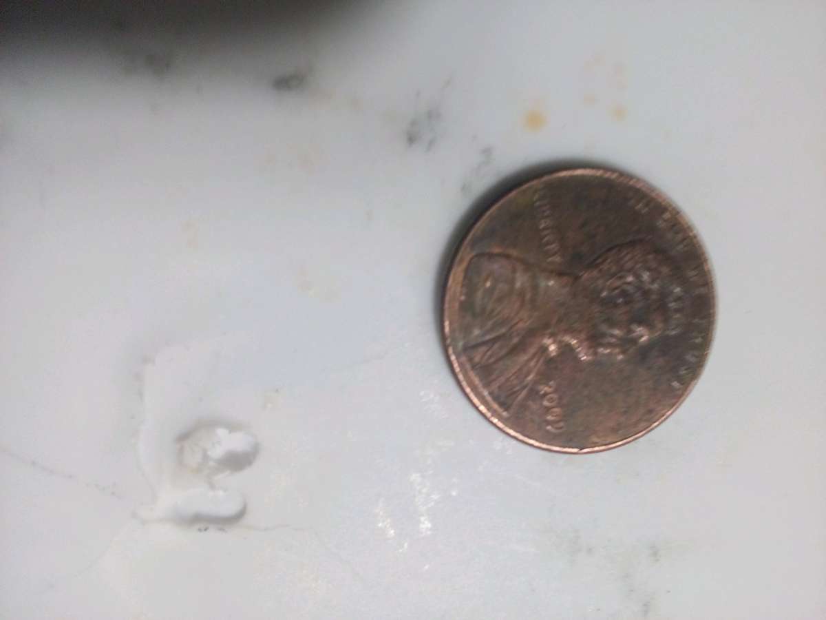 flea market 2009 penny or or best offer