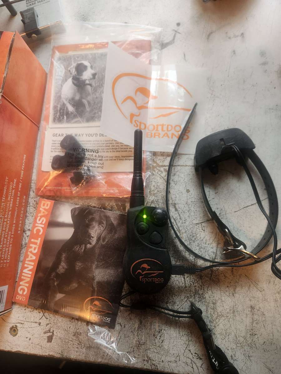 dog training collar
