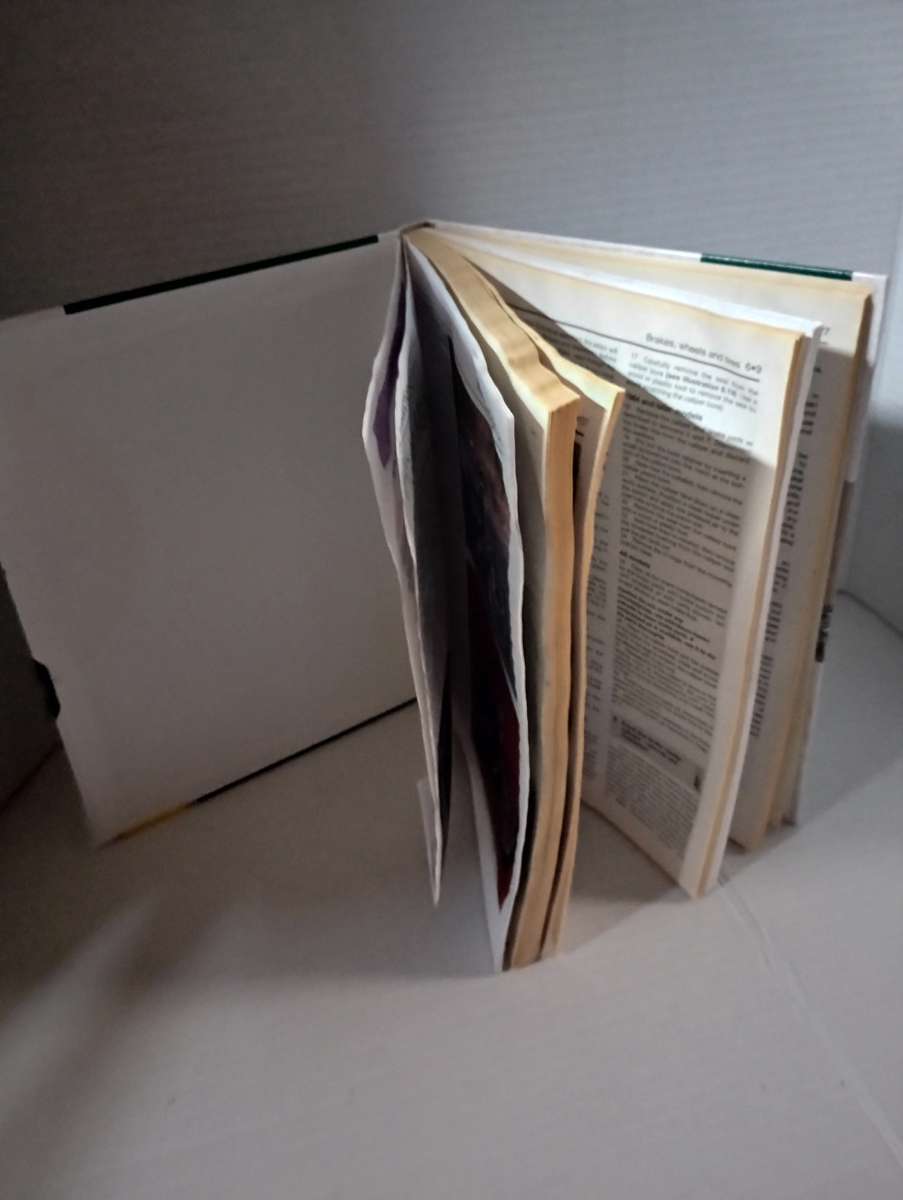 Harley repair manual