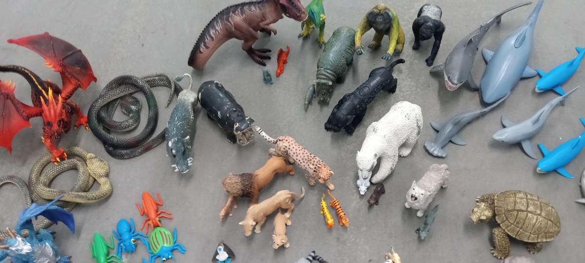 the collection of dinosaurs and more animals