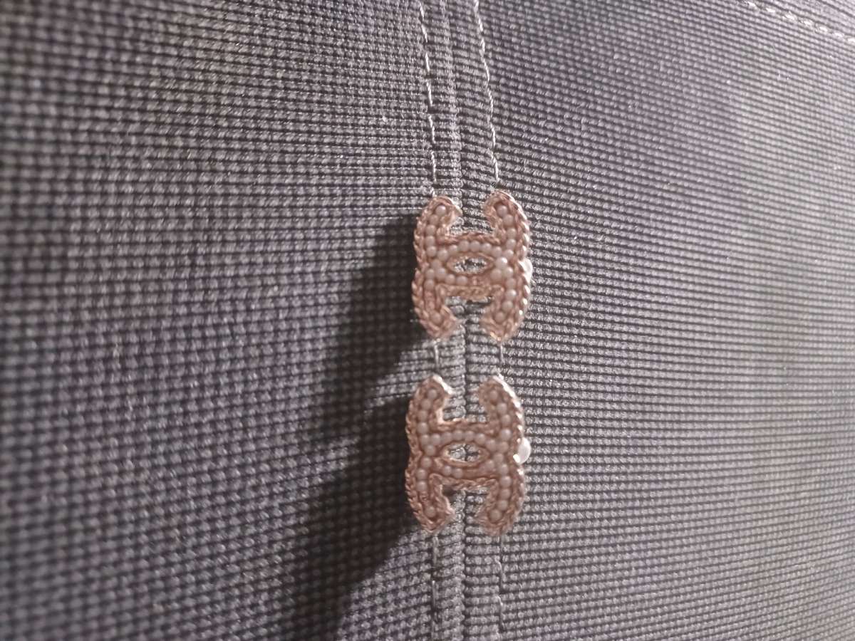 earringsthese are double c earrings super cute real unsure