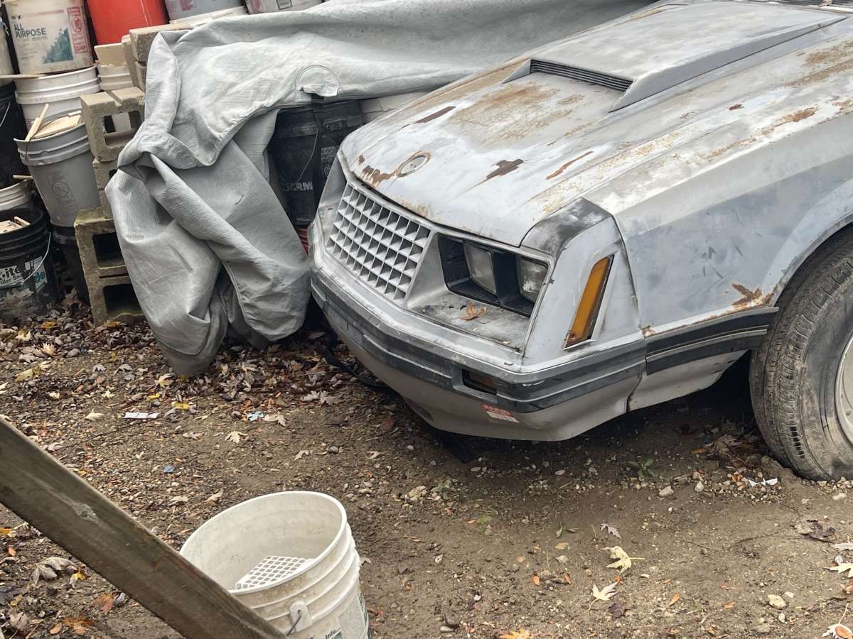 FORD MUSTUNG 82 FOXBODY