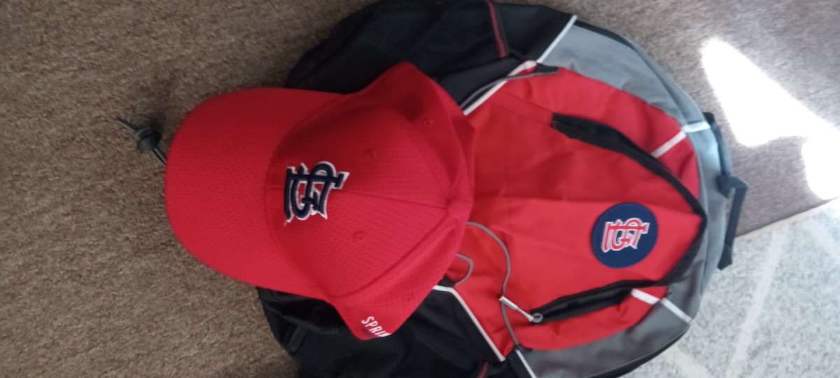 the 4 backpack new for school and camping