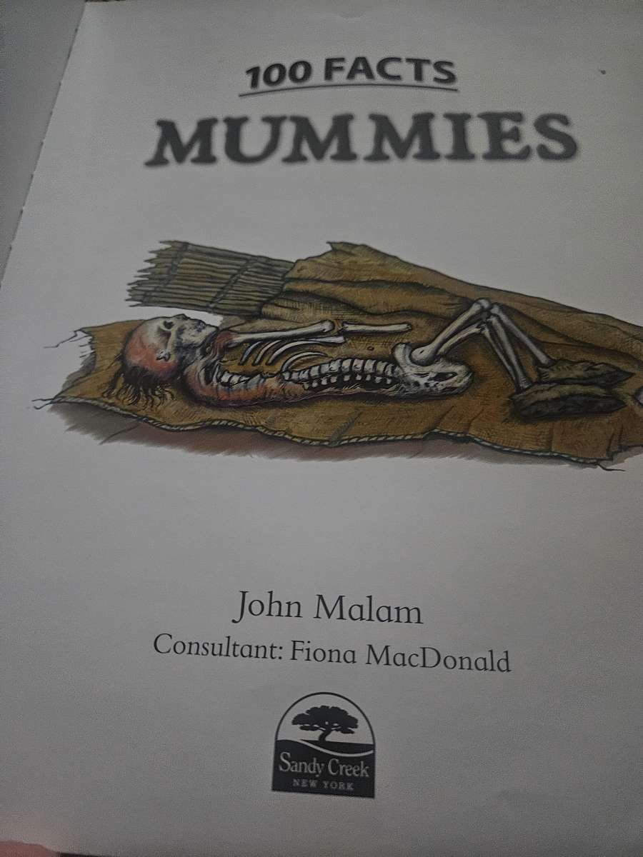 100 facts mummies