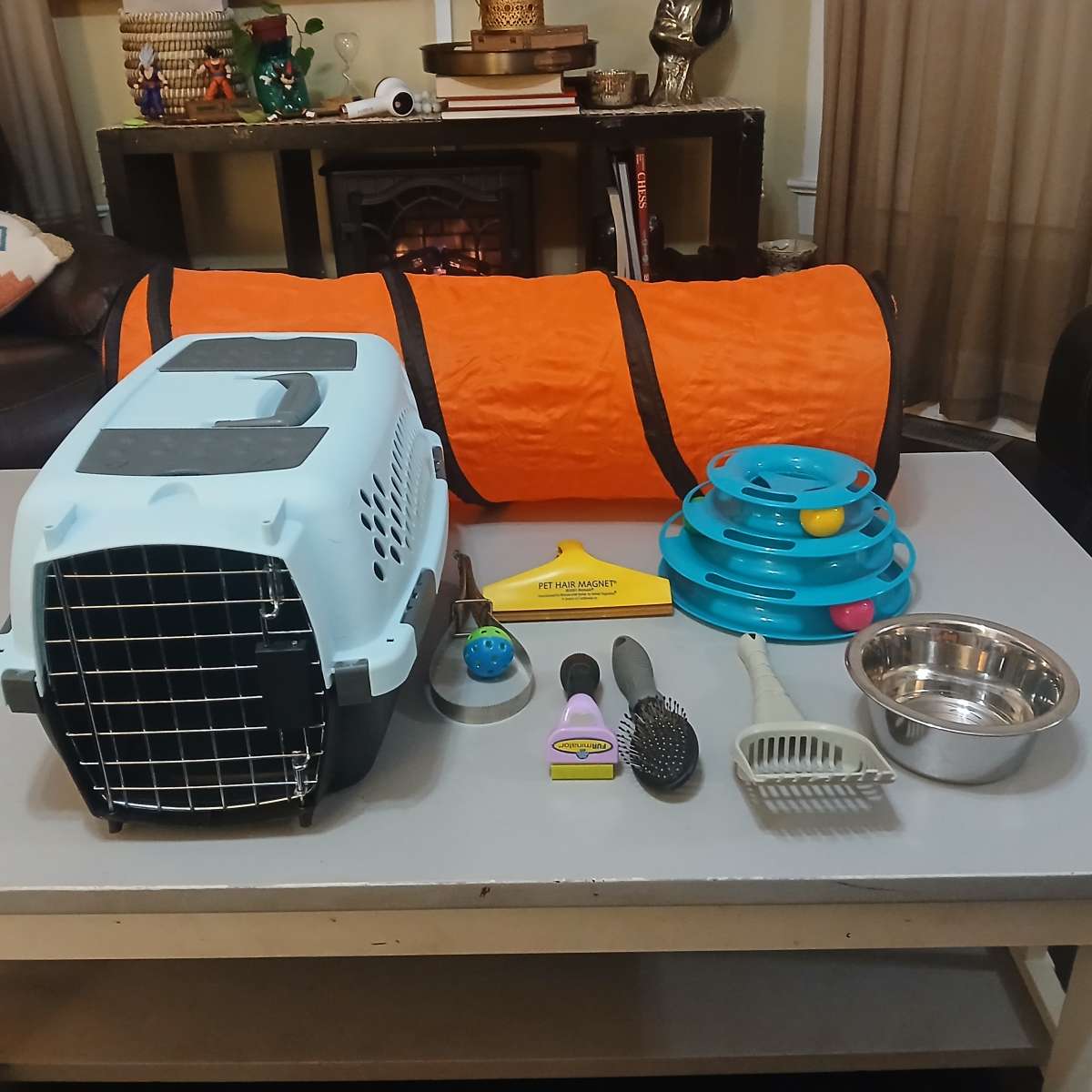 Aspenpet Pet Taxi Kennel with accessories