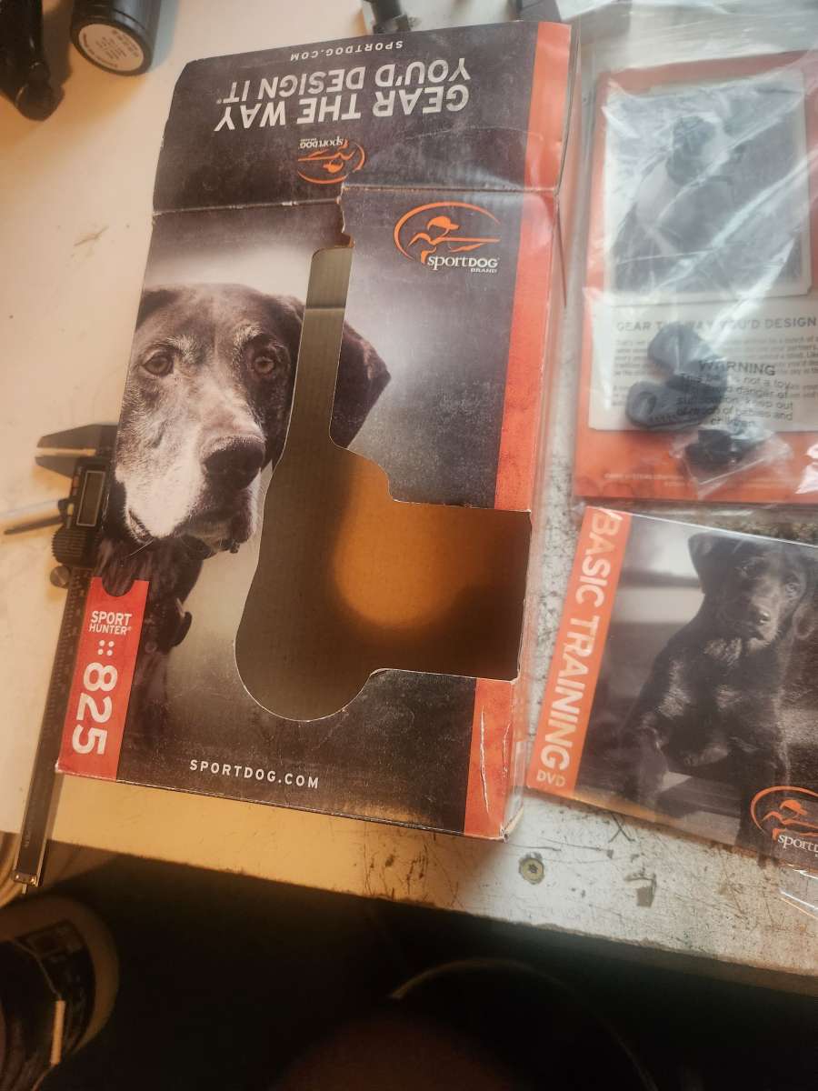 dog training collar