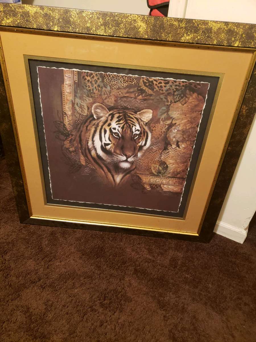 Tiger Picture