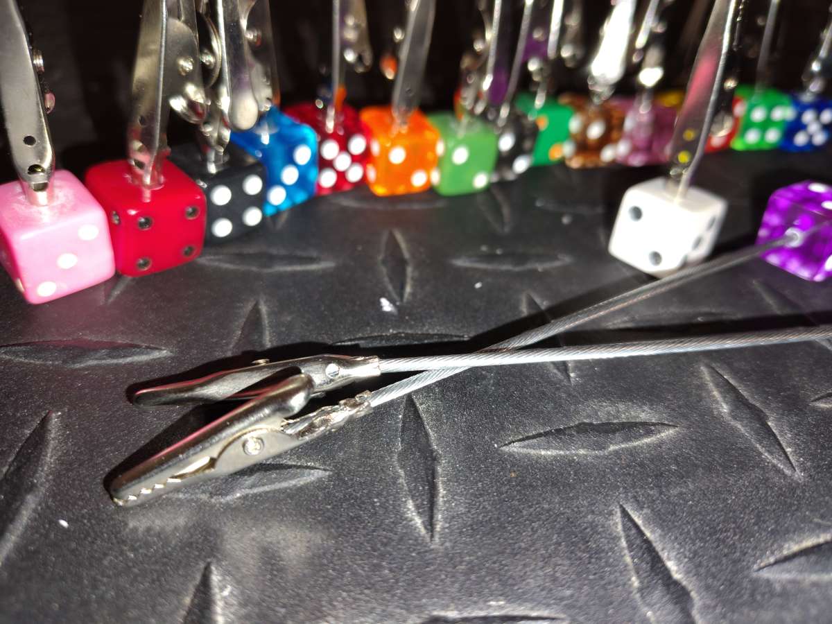 Dice Clips x1 10 or X2 15 bucks