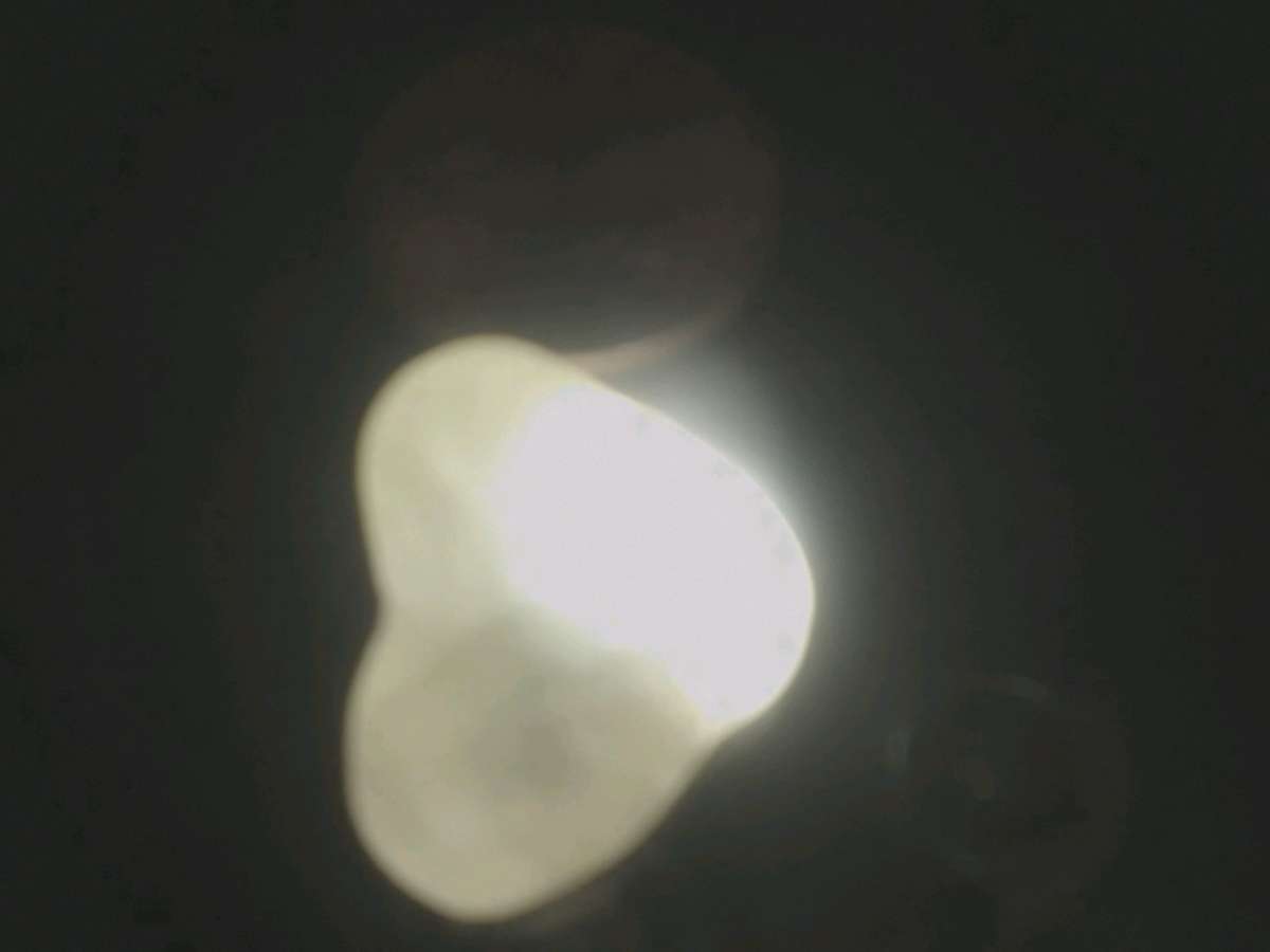 heart shaped water Opal