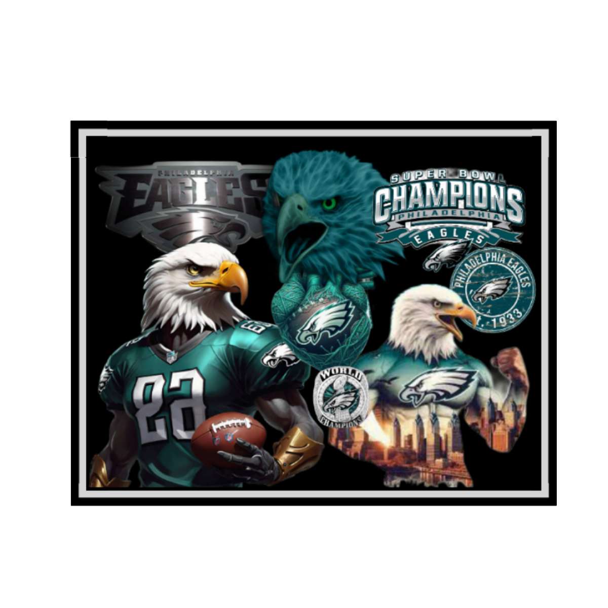 Customer Philadelphia Eagles fine art print