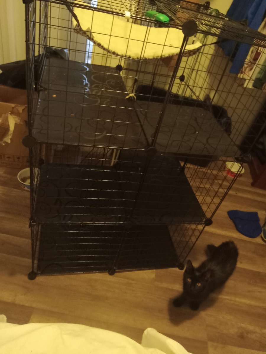 huge pet mansion