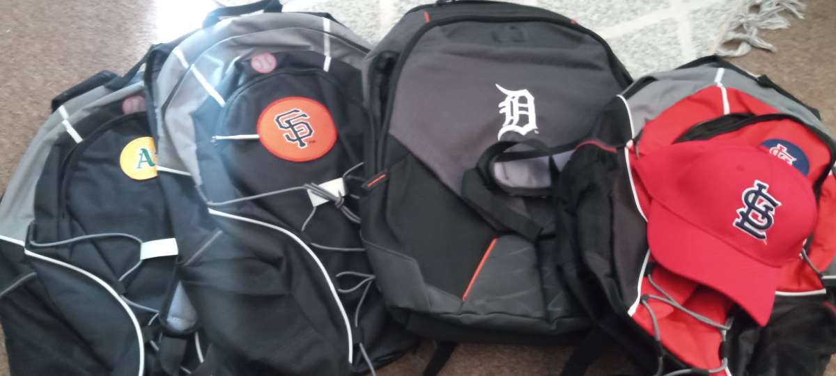 the 4 backpack new for school and camping