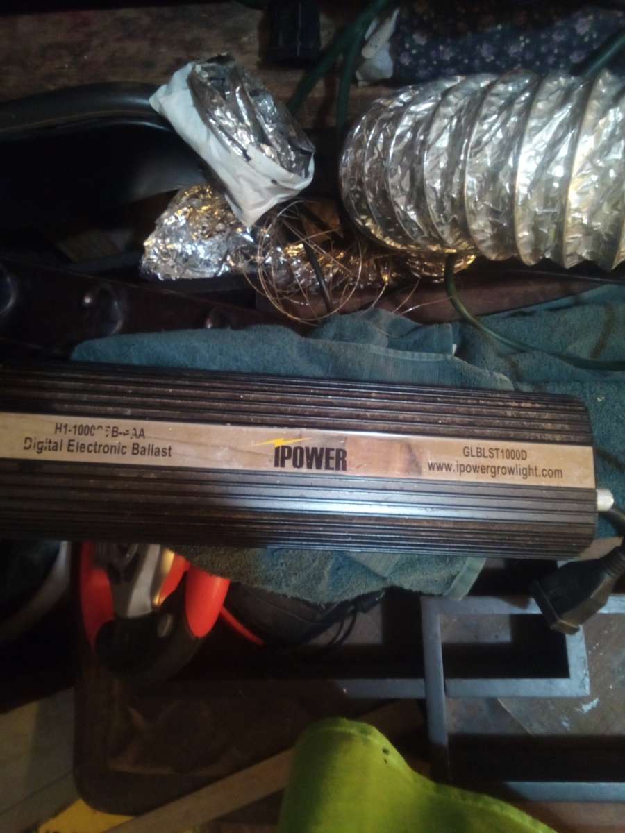 cannabis growing set