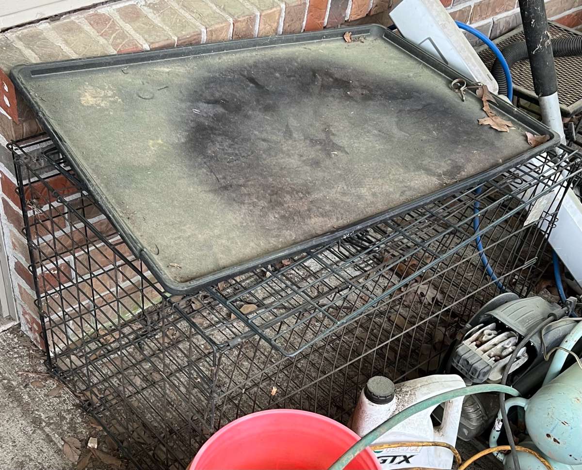 dog cage