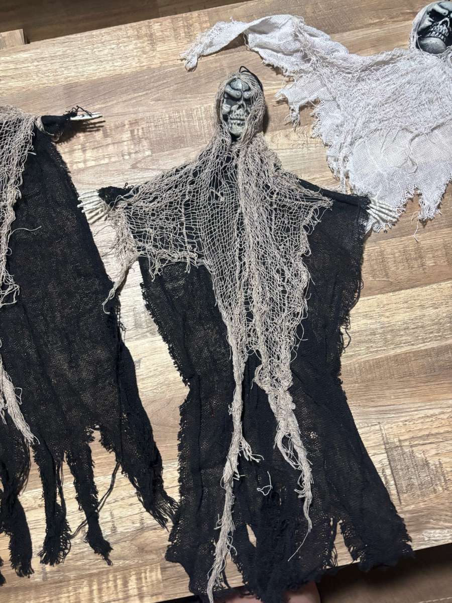 Hanging skeletons