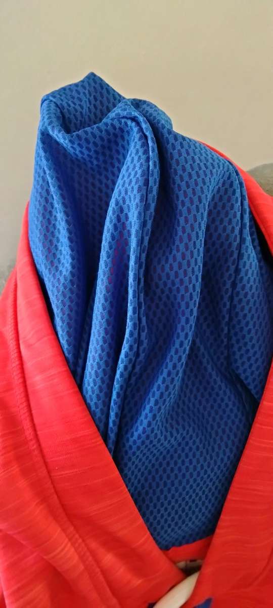 Philadelphia Phillies Red Hoodie