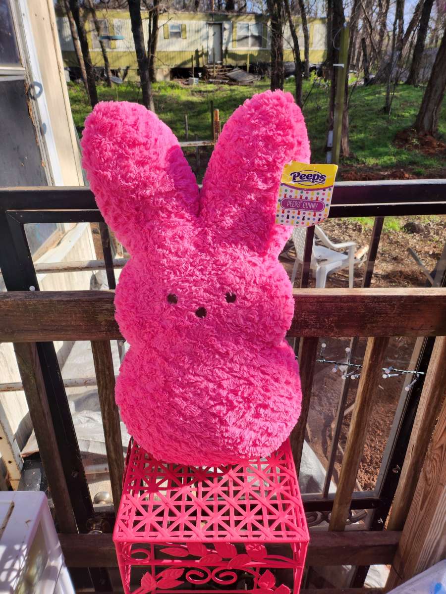 giant peep 20 in