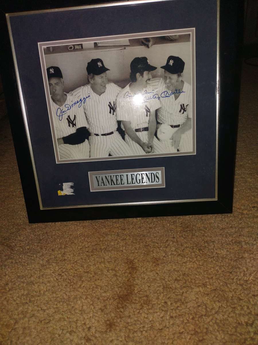 New York Yankees picture