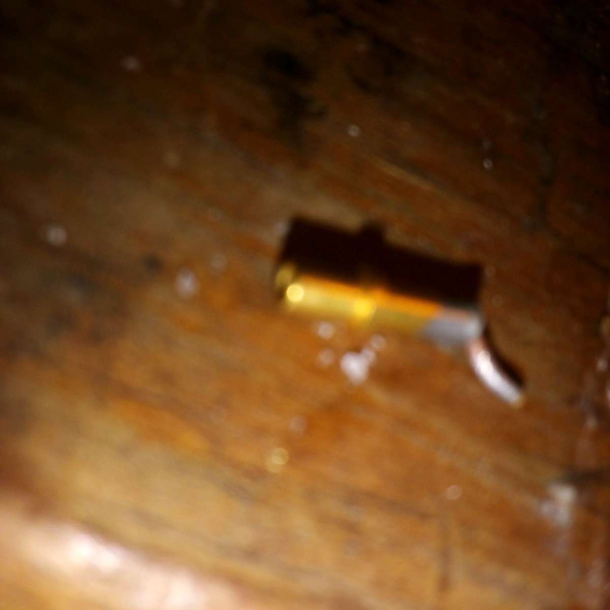 Early Rare Engraving