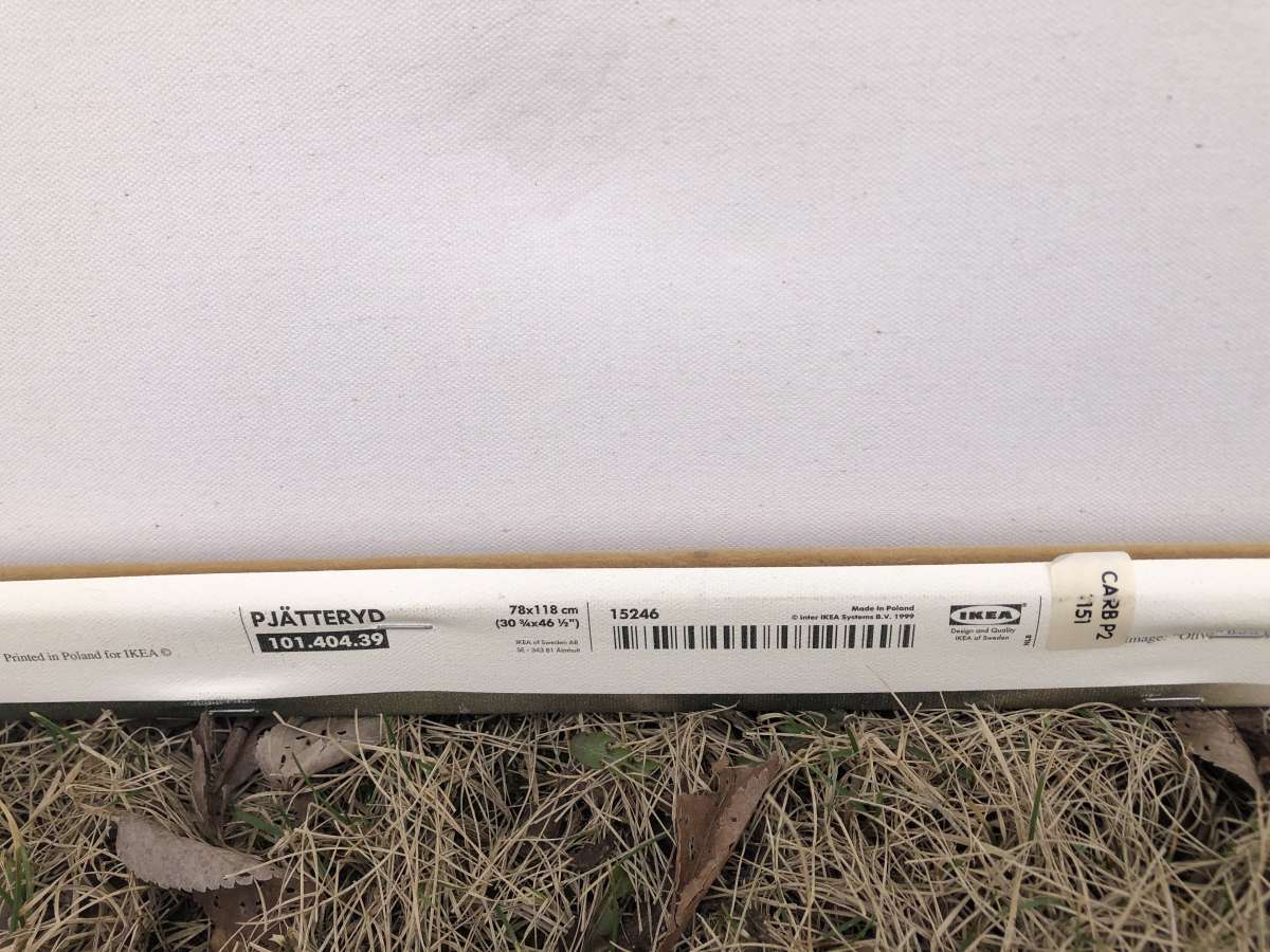 IKEA Olive branch canvas 30 x46