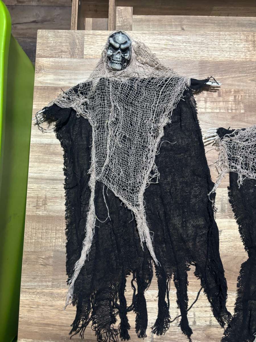 Hanging skeletons