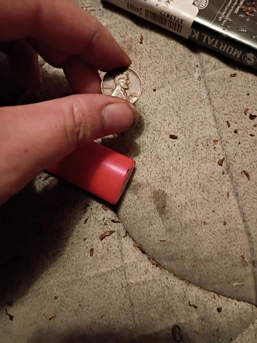 old 2006 Nebraska and Nevada quaters