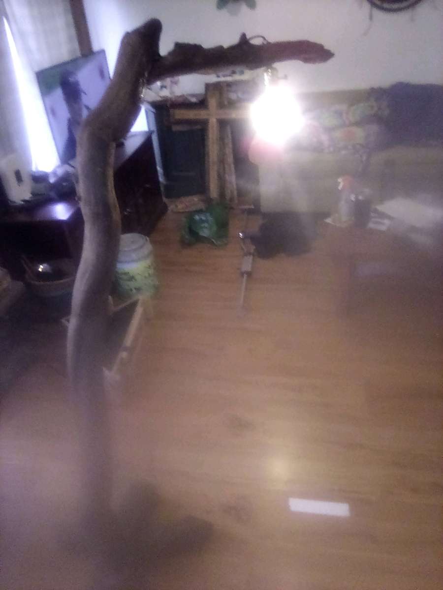 custom driftwood floor lamp