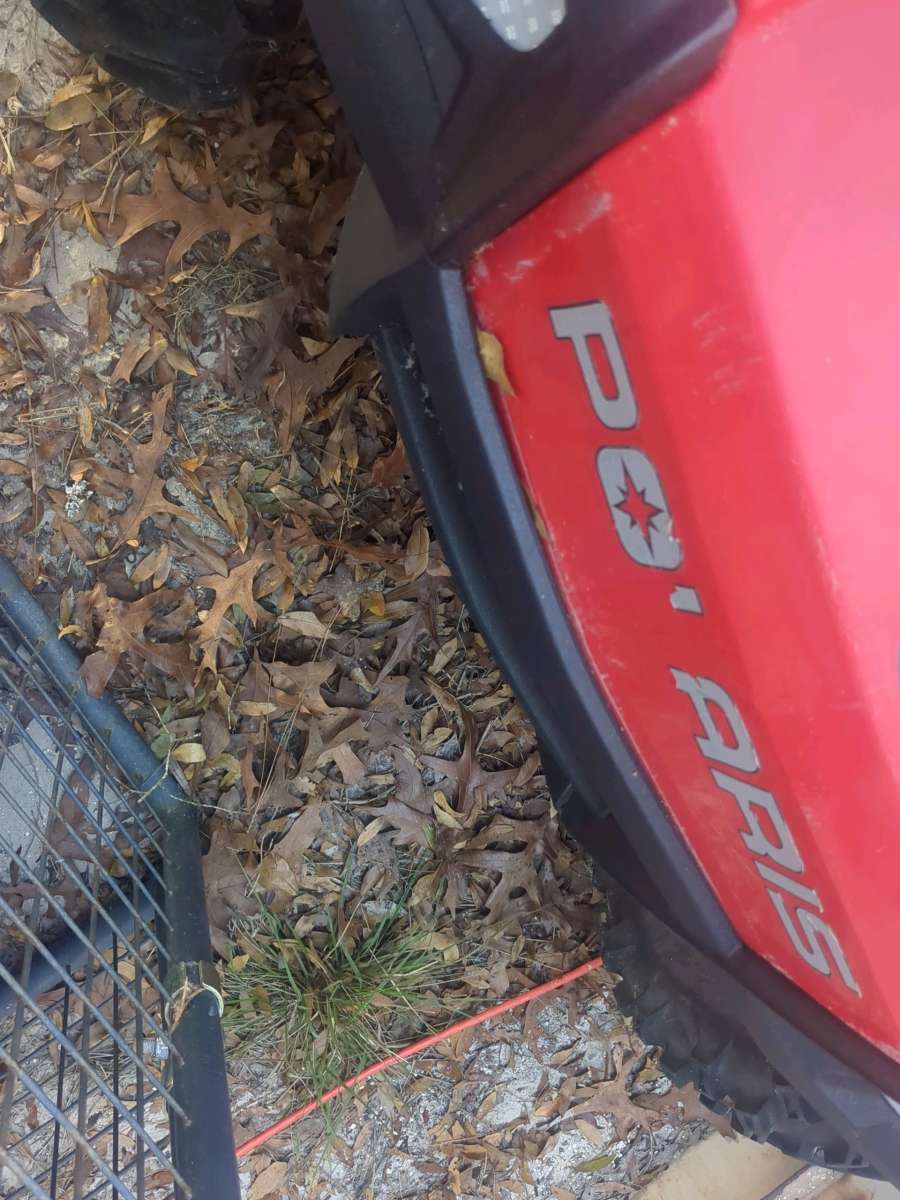 Polaris buggy for kids