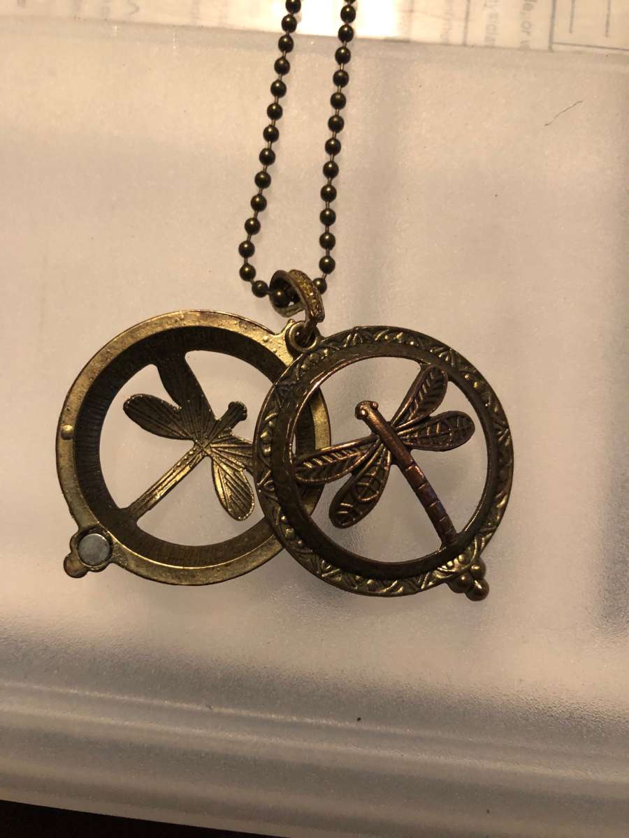 It is a double sided dragonfly magnet