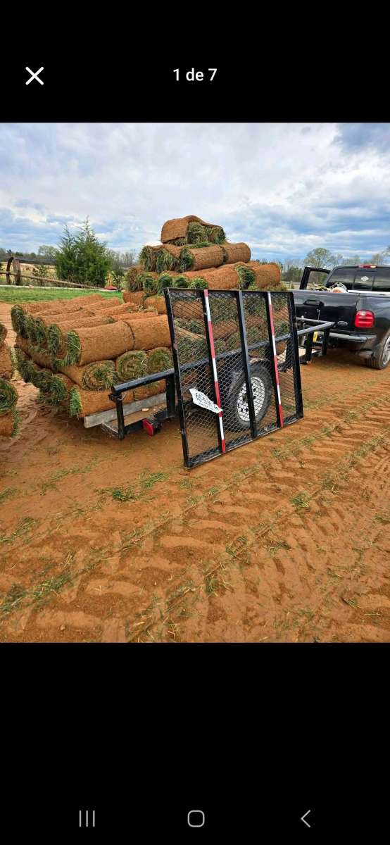 paisajismo y pavimento