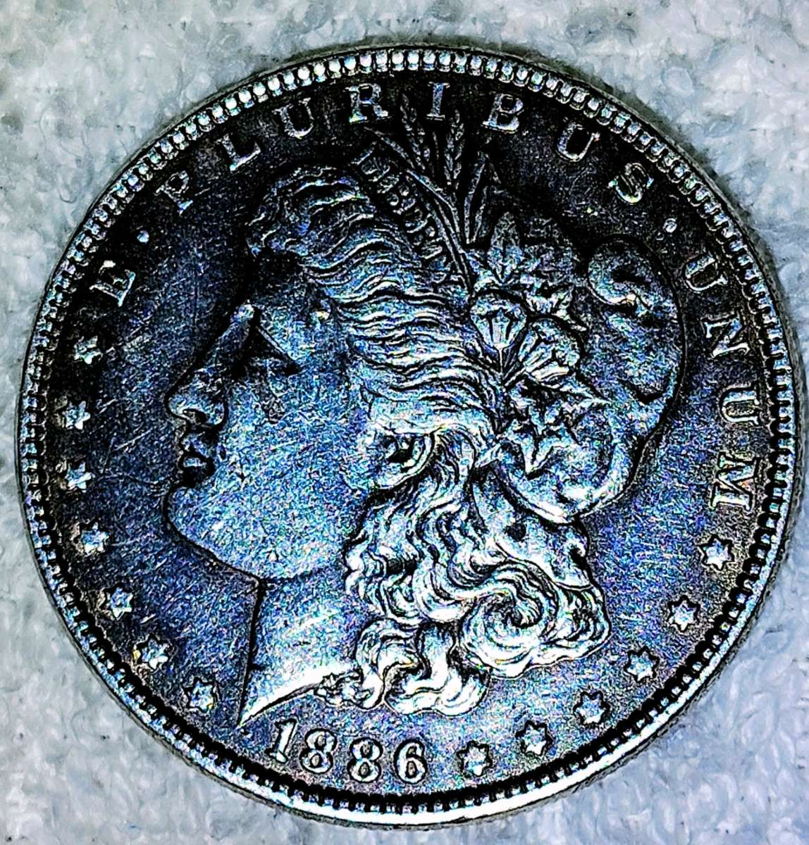 1886 Morgan Dollar