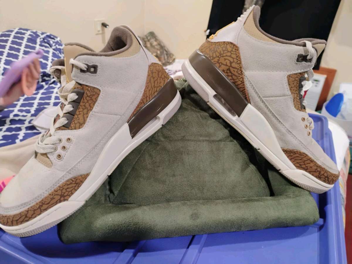 Jordan retro 3 palomino