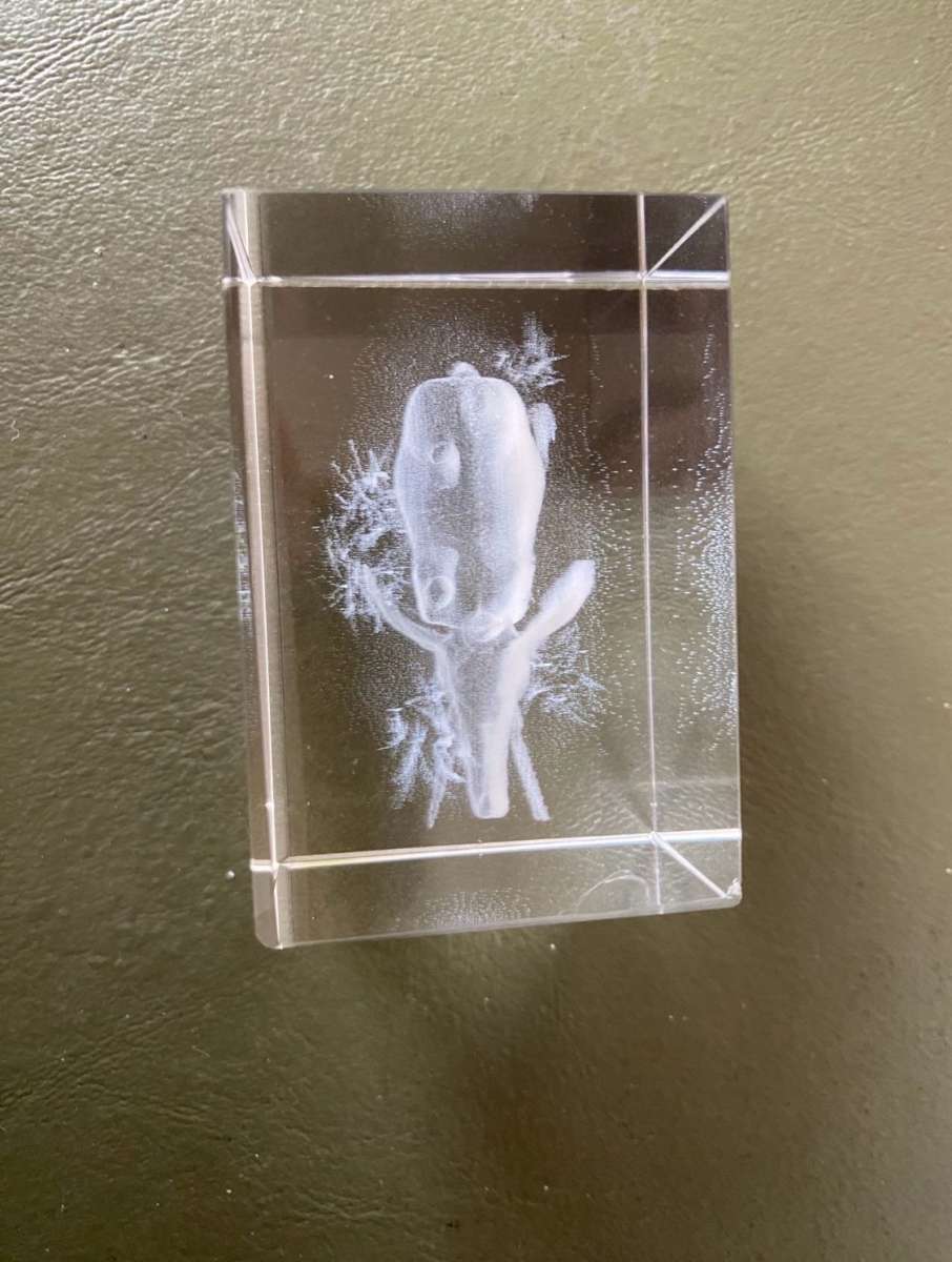 3D elephant cube