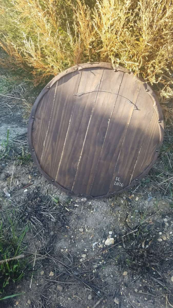 assassins creed vallhalla shield