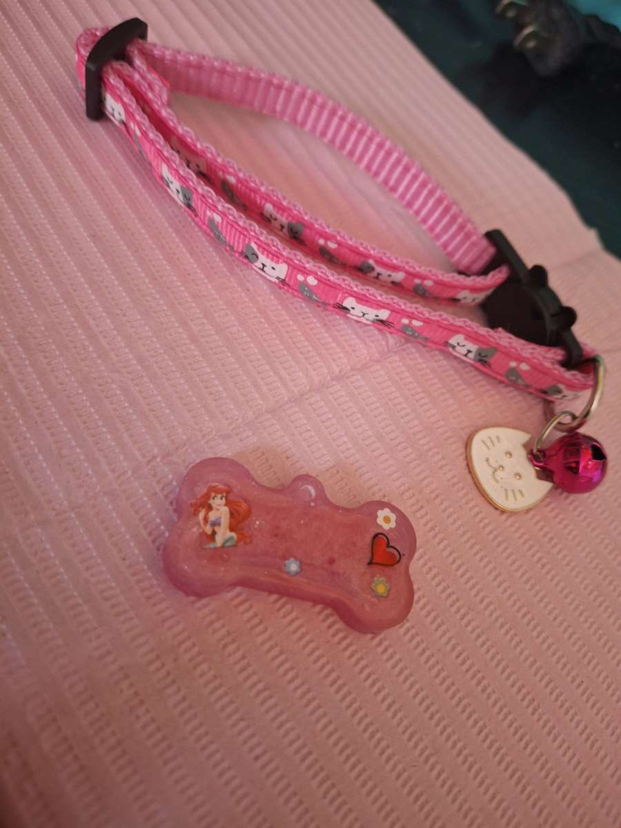Collar y tag Id Ariel 2
