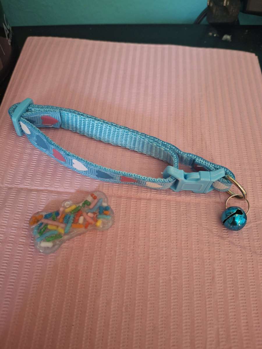 collar y id tag azul