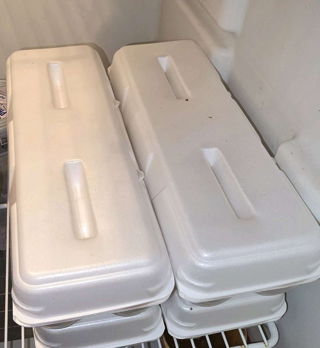 Fresh Fresh ferterilized eggs