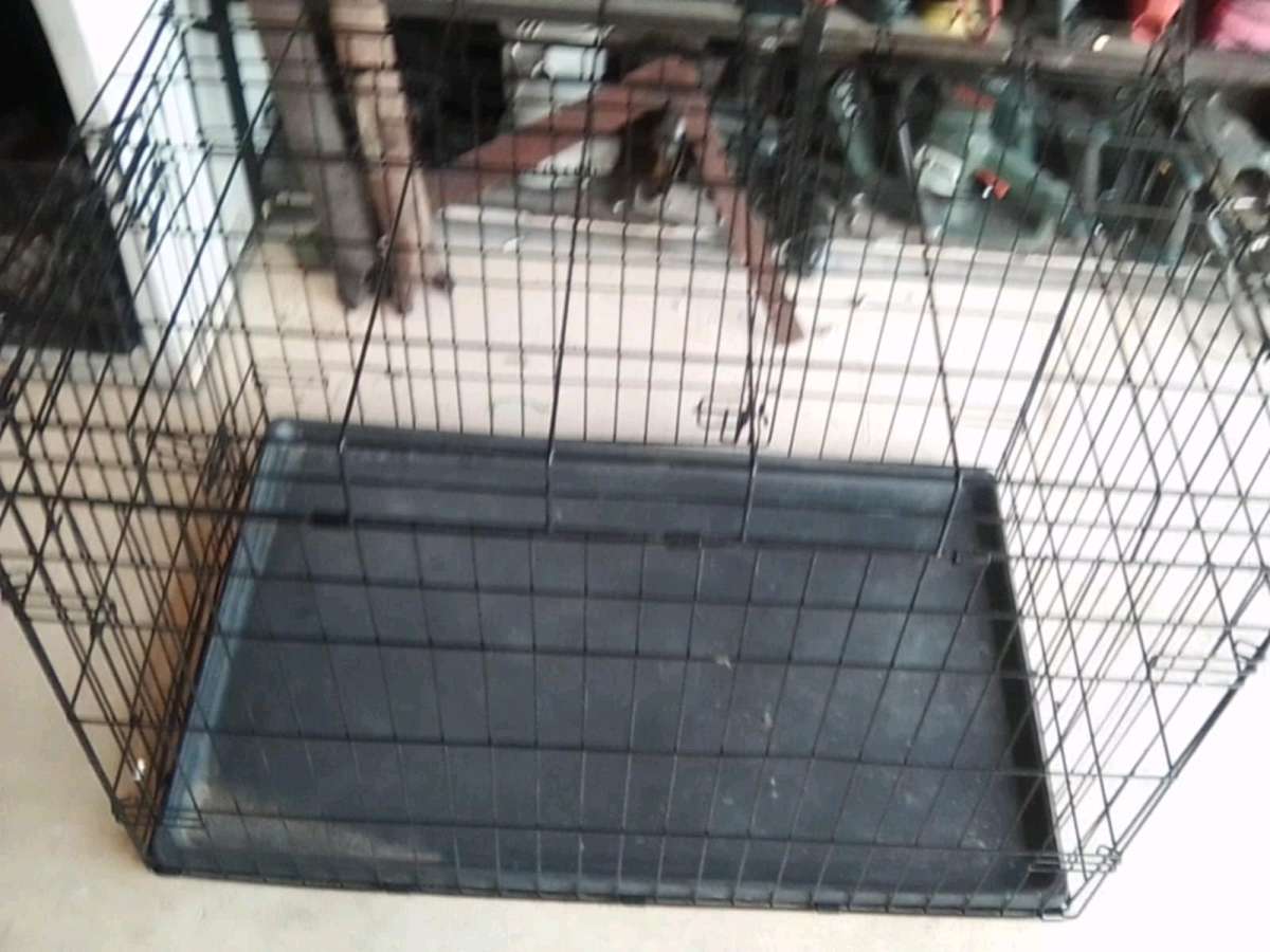 chewy large dog cage 36 by 22