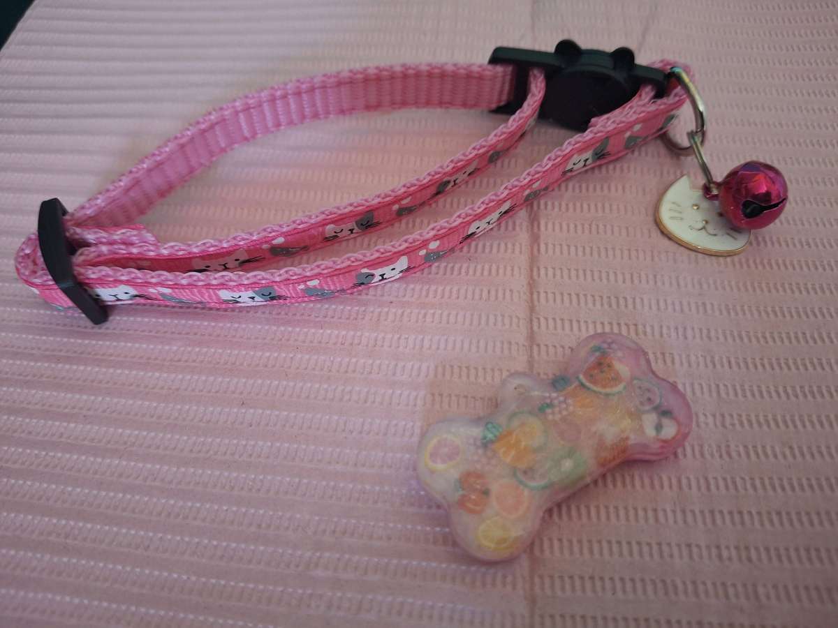 Collar y tag Id Fruttie