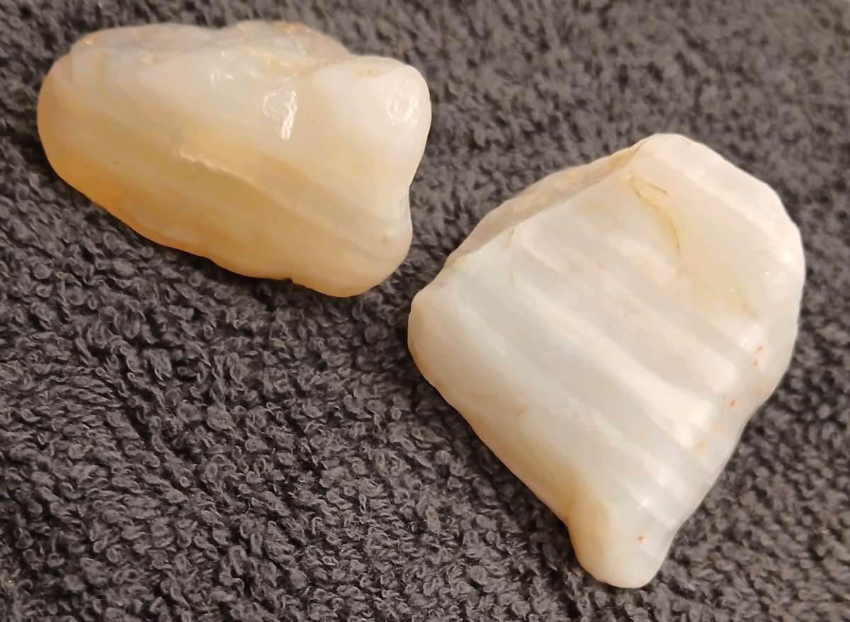 waterline agate from oregon