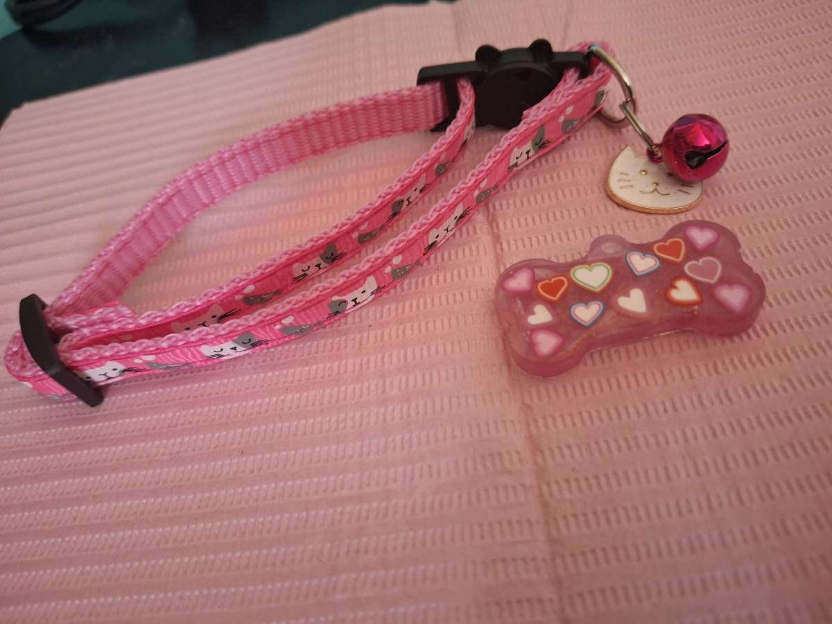 Collar y tag Id Heart