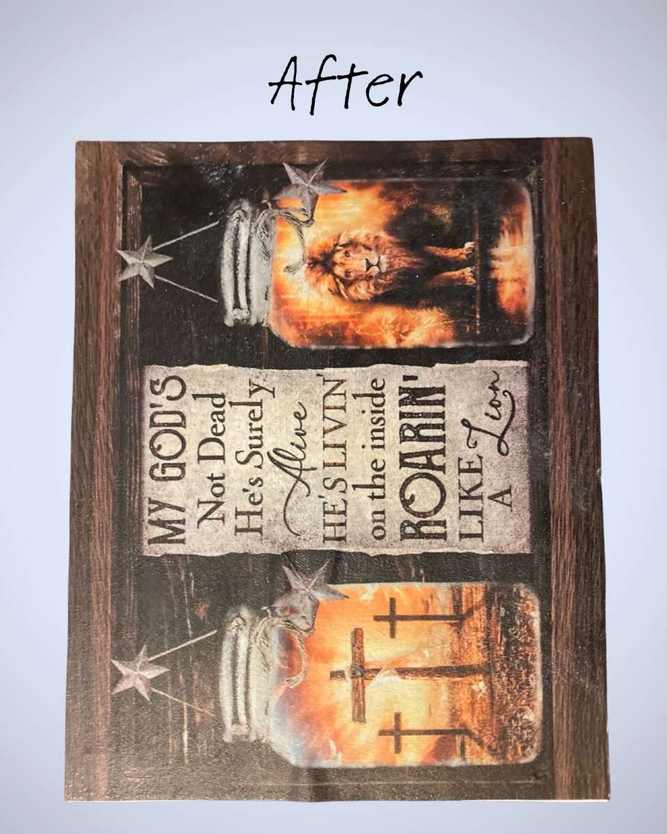 Lion and Lamb In A Jar  Handmade Canvas Art