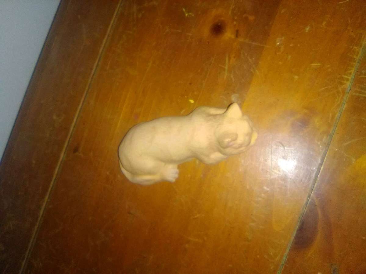 sleeping cat  from the thrift shop