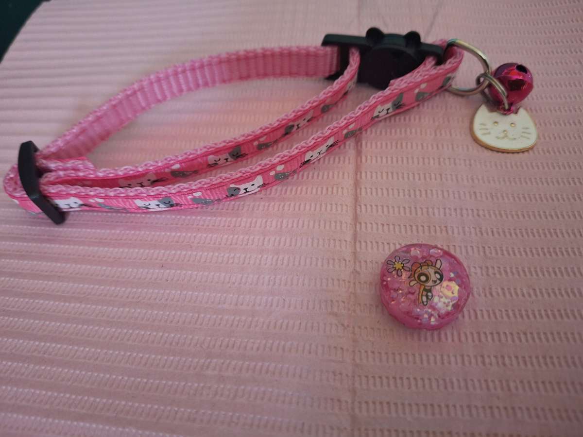 Collar y Tag Id PPG Rosa