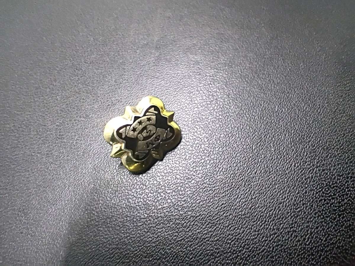 10kt gold Sorority pin