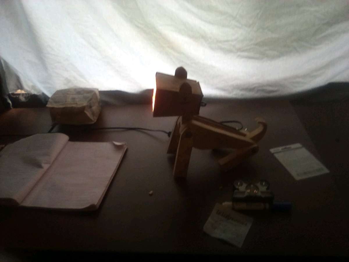posable dog lamp