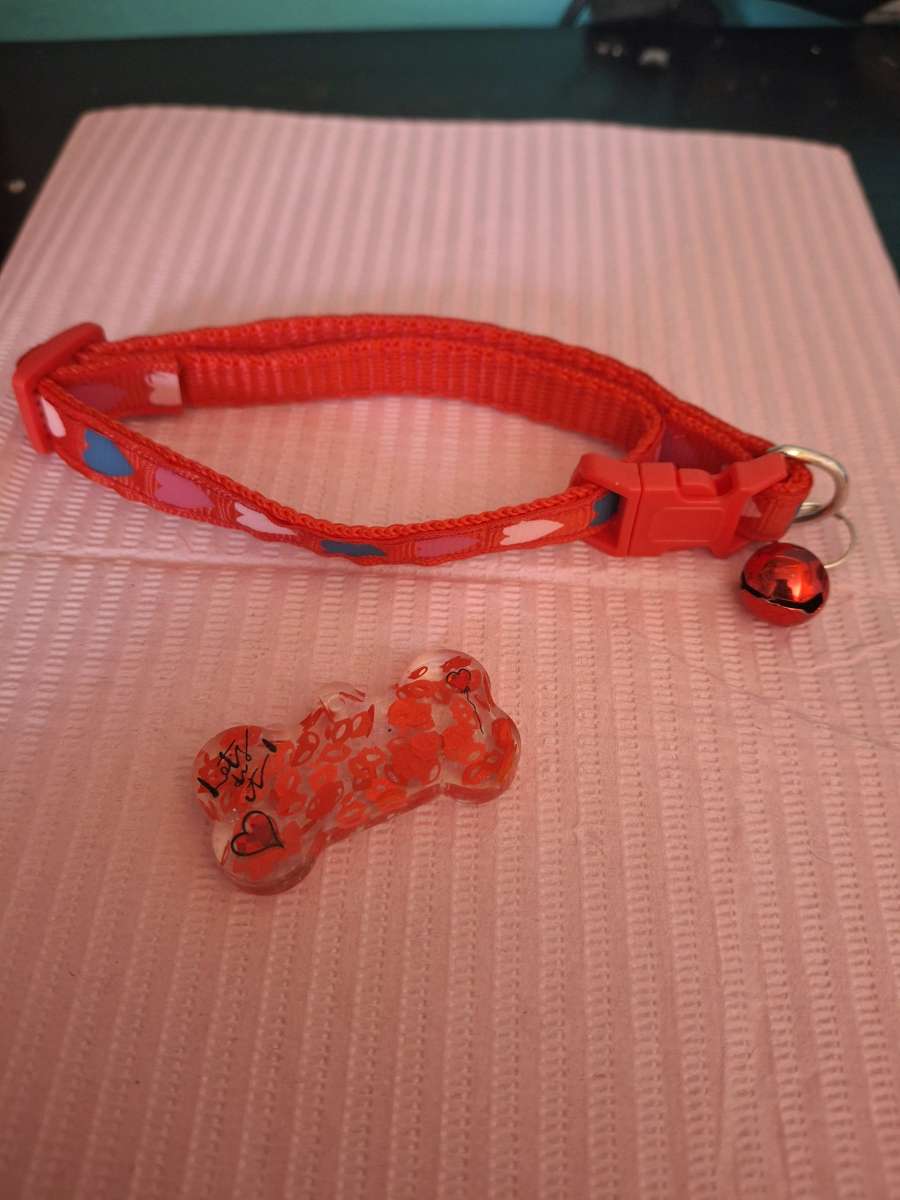 collar y tag id rojo