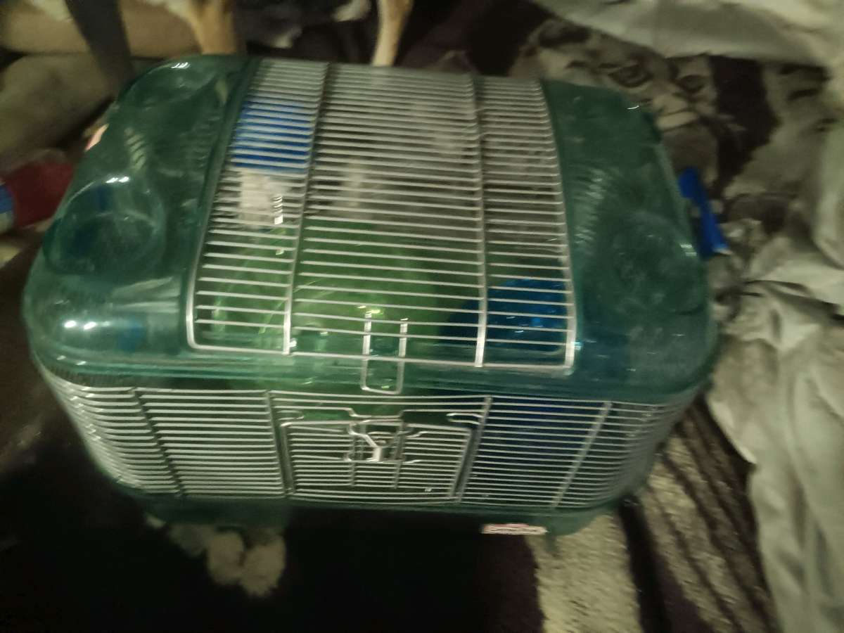 hamster cage